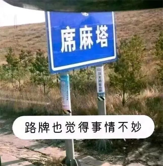 杉果日报：《守望先锋2》B测即将开启；《星空》主线长度40小时