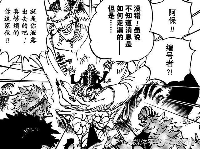 海贼王：阿普的跌宕人生，从普皇到超新星之耻，就如梦一场