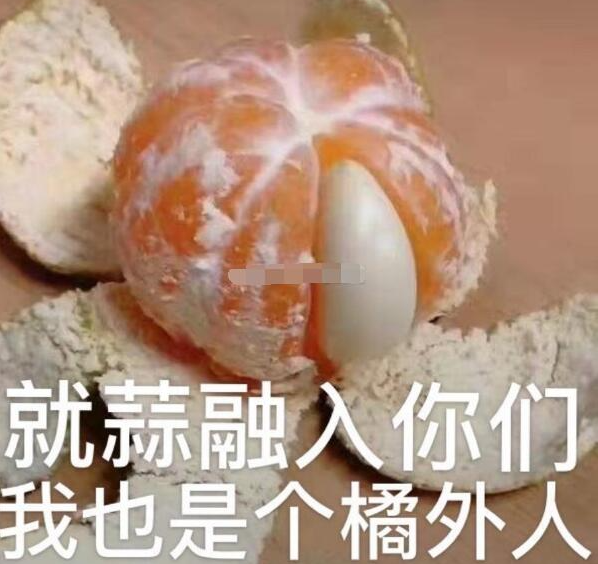 网络用语摆烂式社交是什么梗