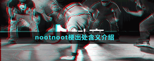 nootnoot是什么梗-抖音nootnoot梗出处含义介绍