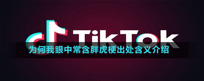 为何我眼中常含胖虎是什么梗-抖音为何我眼中常含胖虎梗出处含义介绍