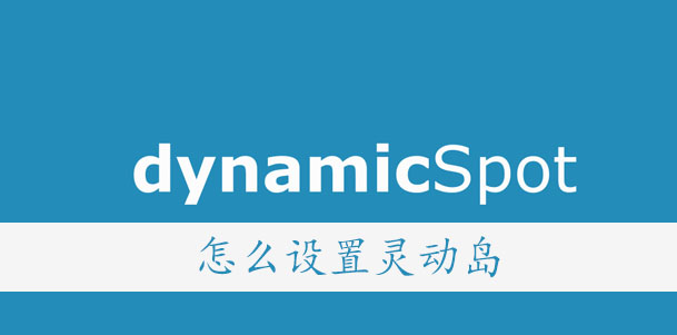 dynamicSpot使用教程-dynamicSpot怎么设置