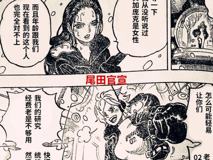海贼王1062话：尾田官宣，罗宾和索隆同级，五老星看不起贝加庞克
