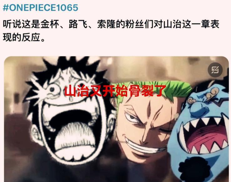 海贼王1065话：无语，山治又骨裂了，贝加庞克其实是考古学家