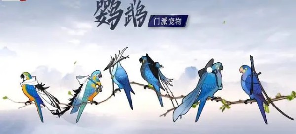 剑三刀宗鹦鹉任务怎么开-剑网3刀宗鹦鹉任务图文攻略